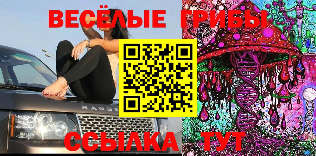 Галлюциногенные грибы Cubensis  Псилоцибиновые грибы мицелий  Вход с VPN  Фролово 
